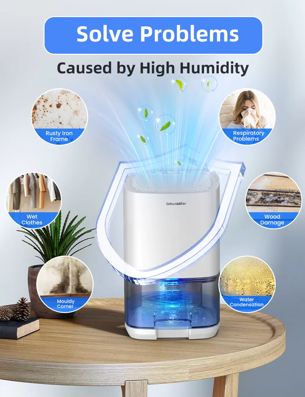 DryAir 1000 – The Compact Dehumidifier That Restores Fresh, Dry Air to Your Space