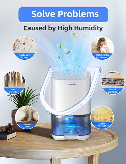 DryAir 1000 – The Compact Dehumidifier That Restores Fresh, Dry Air to Your Space