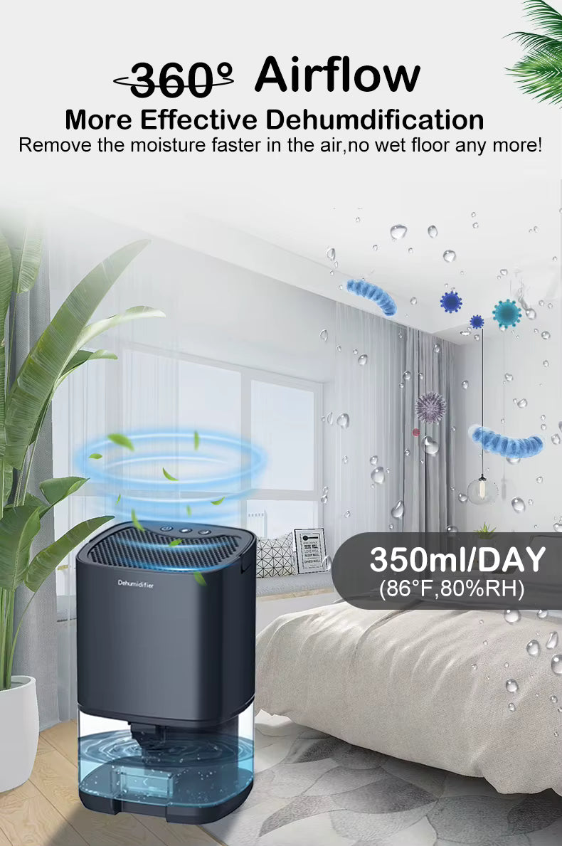 DryAir 1000 – The Compact Dehumidifier That Restores Fresh, Dry Air to Your Space