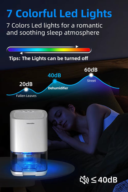 DryAir 1000 – The Compact Dehumidifier That Restores Fresh, Dry Air to Your Space