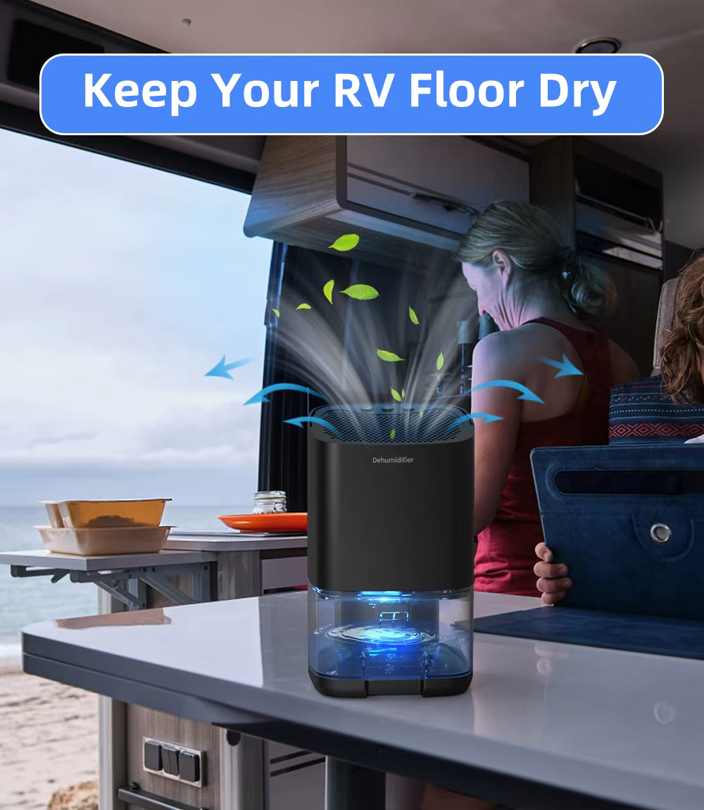 DryAir 1000 – The Compact Dehumidifier That Restores Fresh, Dry Air to Your Space