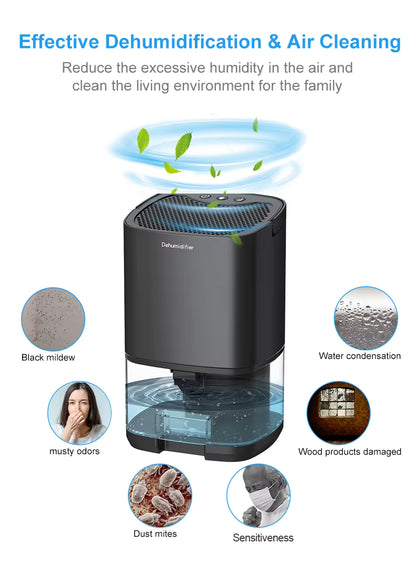 DryAir 1000 – The Compact Dehumidifier That Restores Fresh, Dry Air to Your Space
