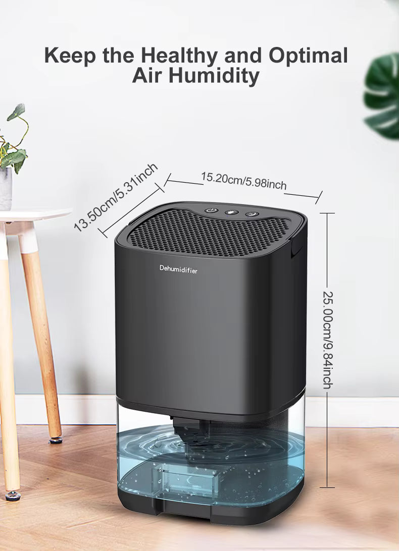 DryAir 1000 – The Compact Dehumidifier That Restores Fresh, Dry Air to Your Space