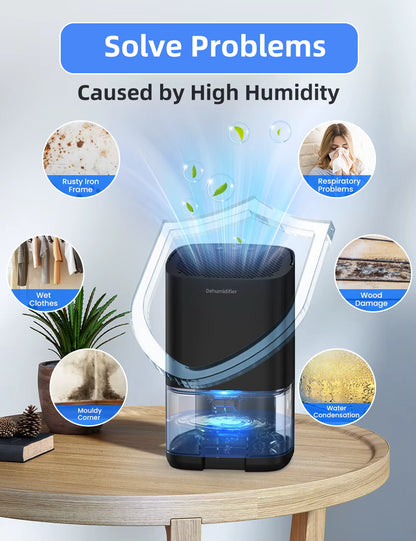 DryAir 1000 – The Compact Dehumidifier That Restores Fresh, Dry Air to Your Space