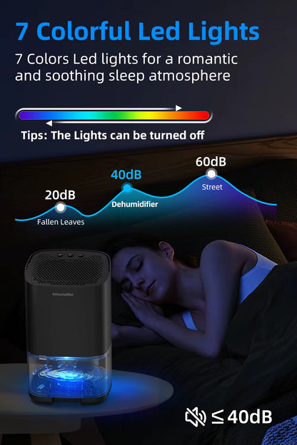 DryAir 1000 – The Compact Dehumidifier That Restores Fresh, Dry Air to Your Space